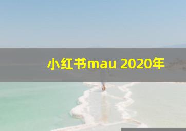 小红书mau 2020年